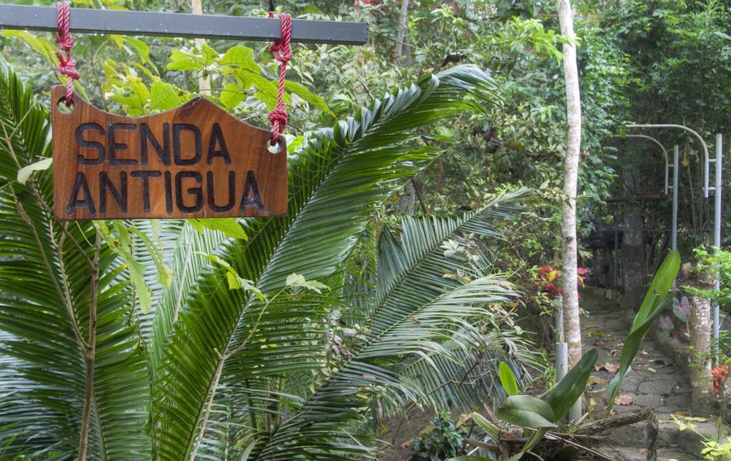 Brisas Del Paraiso Bed & Breakfast Manglaralto Exterior foto