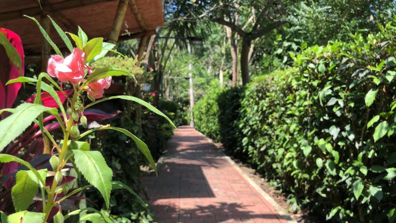Brisas Del Paraiso Bed & Breakfast Manglaralto Exterior foto